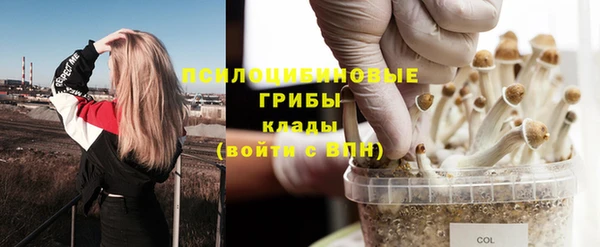 СК Белокуриха