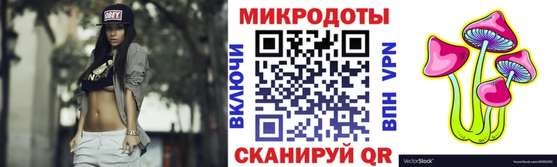 Купить Верхотурье Галлюциногенные грибы Psilocybine cubensis
